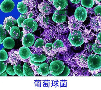 水韵净水安装售后一站式服务